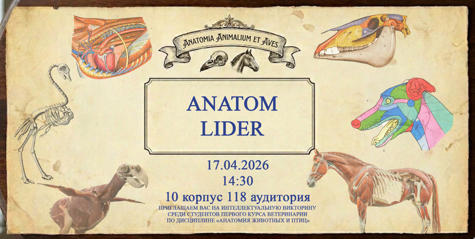 news card image